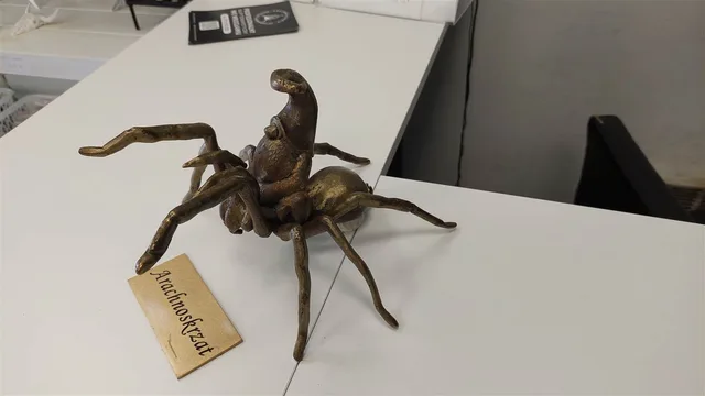 Krasnal Arachnoskrzat