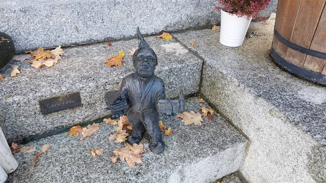 Koncertuś Dwarf