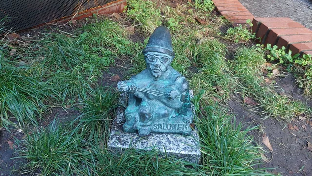 Nain Salonek