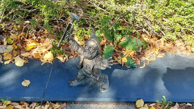 Siwek Dwarf